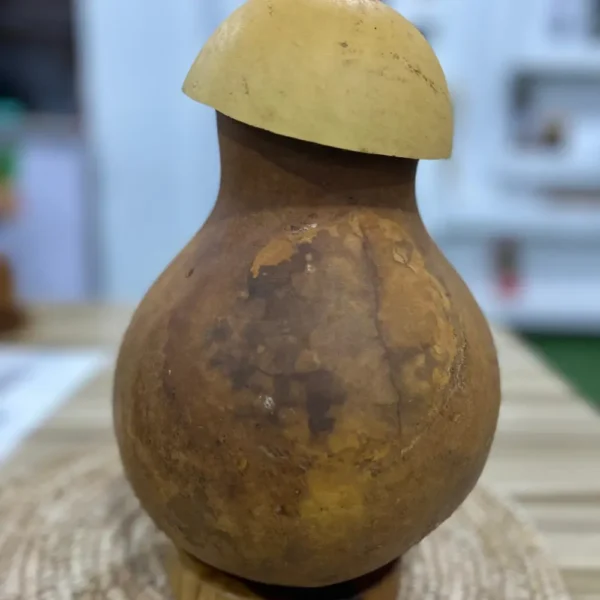 Gourd of undiluted palmwine